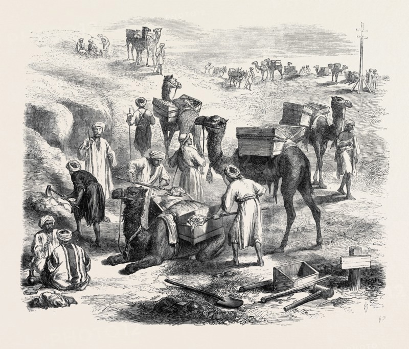 THE ISTHMUS OF SUEZ MARITIME CANAL: WORKMEN LOADING DROMEDARIES, 1869