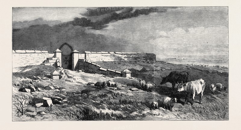 THE CRIMEA REVISITED: CATHCART HILL, 1869