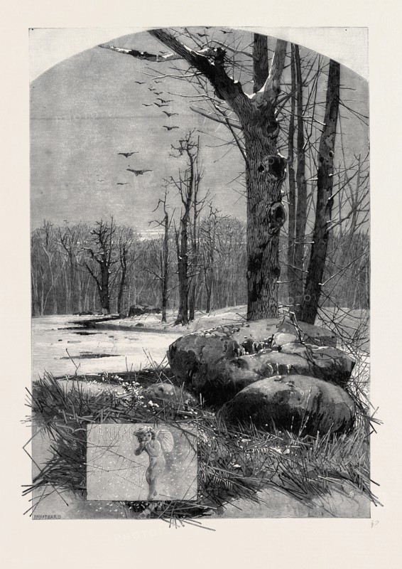 THE MONTHS: JANUARY