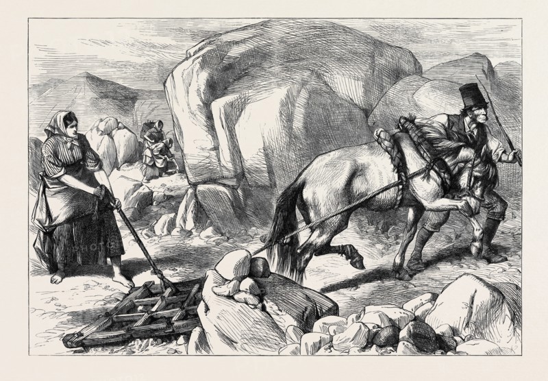 IRELAND: HARROWING UNDER DIFFICULTIES, MOUNTAIN FARM IN COUNTY MAYO, 1880