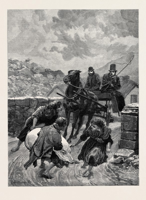 AN IRISH OBSTRUCTIONIST: A SKETCH ON THE ROAD, CONNEMARA, 1880