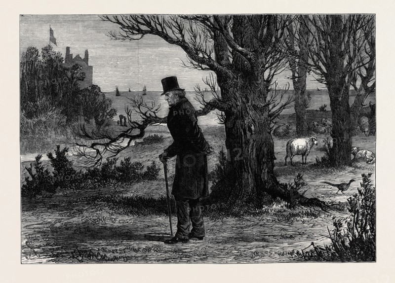 THE GENERAL ELECTION: THE CALM BEFORE THE STORM: A SKETCH AT DALMENY ON SATURDAY, APRIL 3, 1880