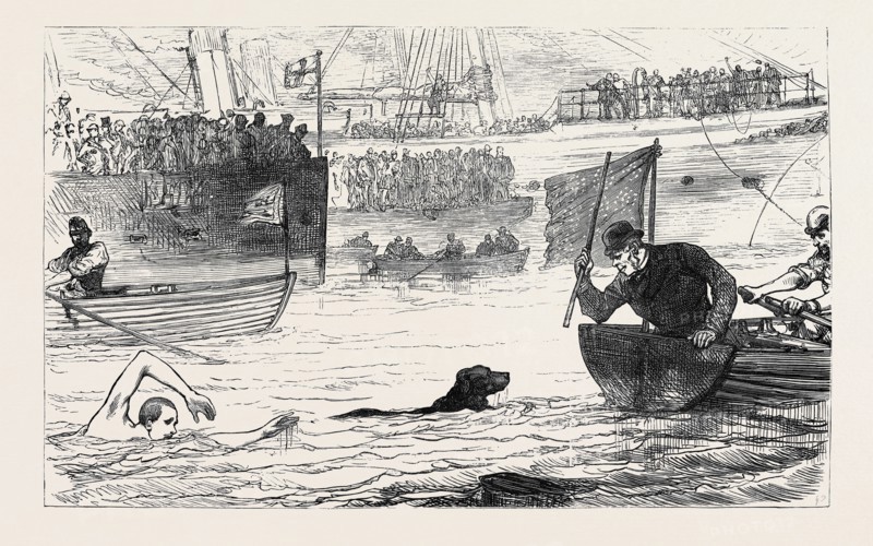 SWIMMING MATCH BETWEEN A DOG AND A MAN, 1880