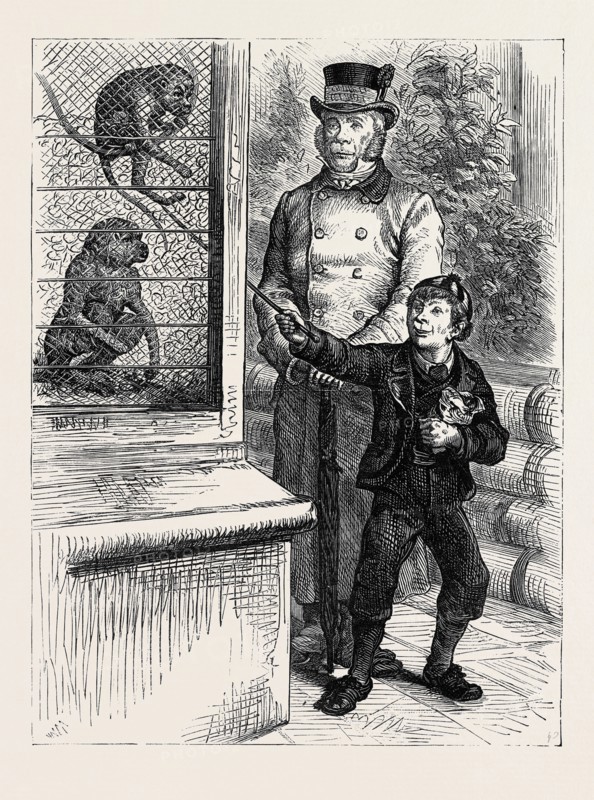 AT THE ZOOLOGICAL SOCIETY'S GARDENS IN LONDON: THE MONKEYS, 1880