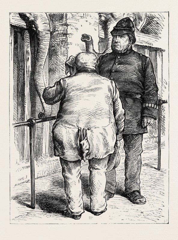 AT THE ZOOLOGICAL SOCIETY'S GARDENS IN LONDON: PACHYDERMATOUS OR THICK-SKINNED ANIMALS, 1880