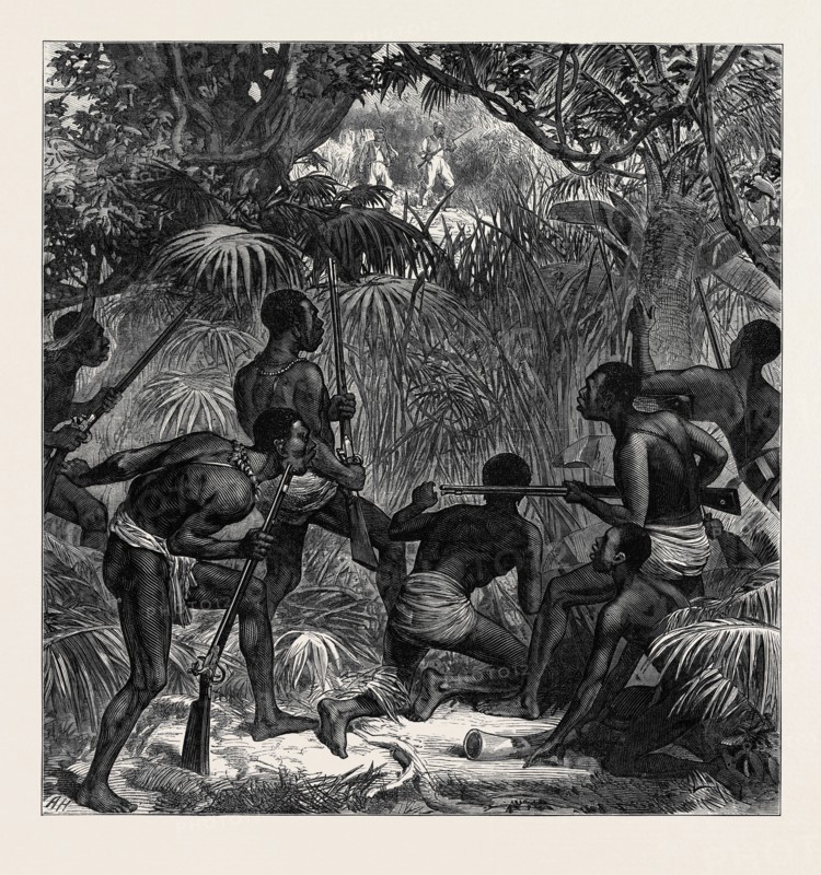 THE WAR ON THE GOLD COAST: ASHANTEES IN AMBUSH, 1874