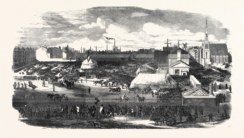 SHOW OF THE MANCHESTER AND LIVERPOOL AGRICULTURAL SOCIETY, IN THE HAYMARKET, GREAT HOMER STREET, LIVERPOOL, 1852