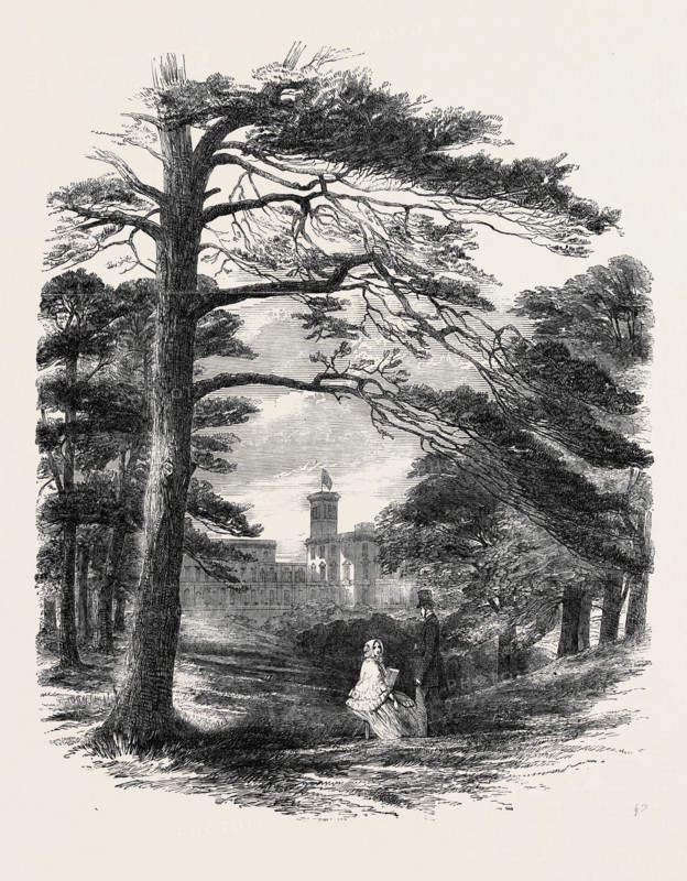 OSBORNE, VIEW FROM THE PARK
