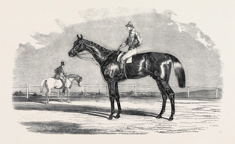 "KINGSTON," THE WINNER OF THE GOODWOOD CUP, 1852