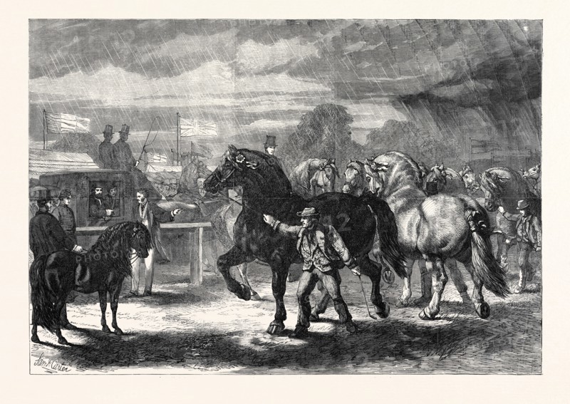 SUFFOLK CART HORSES AT THE EXHIBITION OF THE ROYAL AGRICULTURAL SOCIETY AT BURY ST. EDMUNDS, 1867