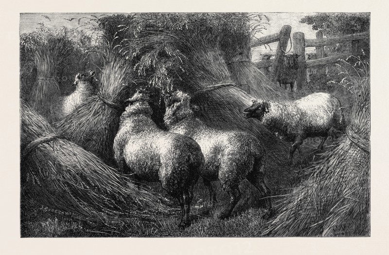 "FORBIDDEN FRUIT," BY T.W. BOTTOMLEY, FROM THE LATE EXHIBITION OF THE ROYAL ACADEMY, 1867