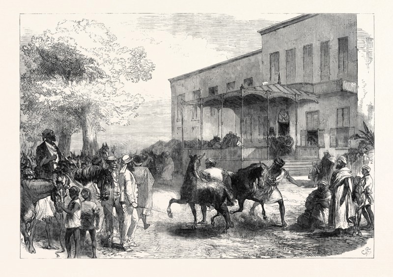 THE ABYSSINIAN EXPEDITION: TRANSPORT OFFICERS BUYING MULES OPPOSITE SHEPHEARD'S HOTEL, CAIRO, EGYPT, 1867