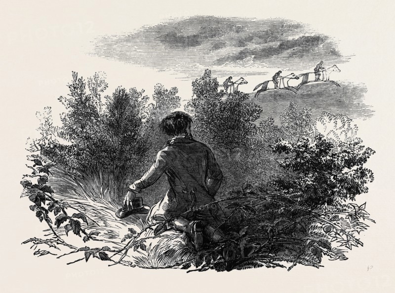 THE HORSE WATCHER