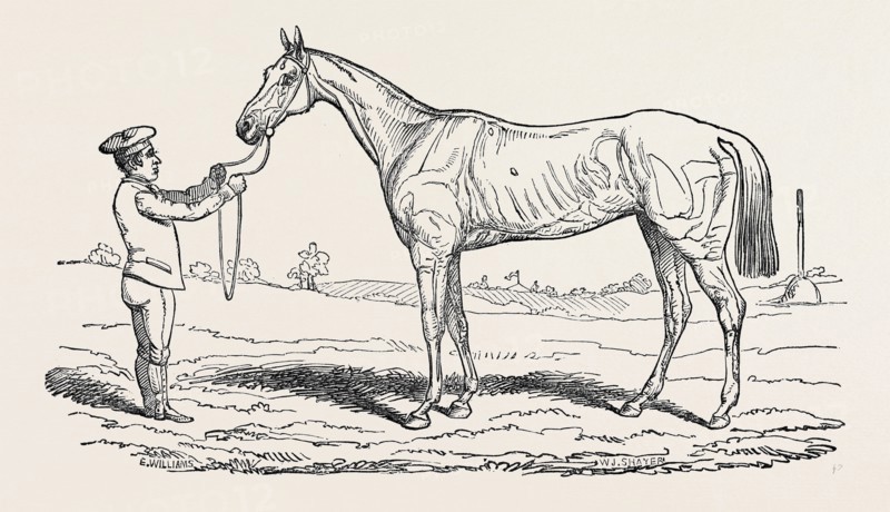 "THE PRINCESS," WINNER OF "THE OAKS."
