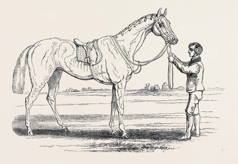 "ALICE HAWTHORN," THE WINNER OF THE GOLD VASE, AT ASCOT RACES, FROM A PAINTING BY HERRING