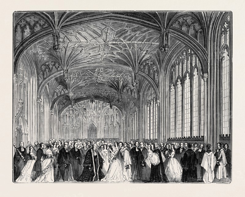 THE DIVINITY SCHOOL.