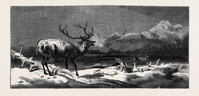 "COMING EVENTS CAST THEIR SHADOWS BEFORE THEM." PAINTED BY E. LANDSEER, R.A.