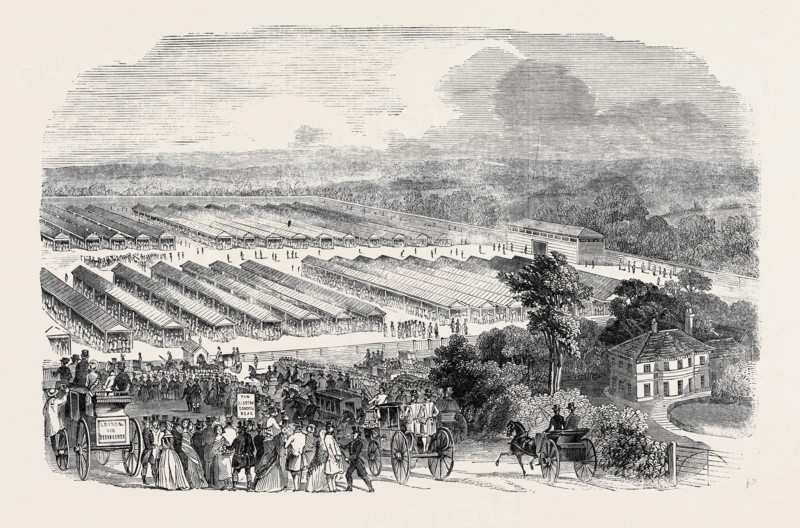THE CATTLE SHOW, PORTSWOOD.