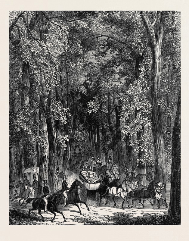 ROAD THROUGH GOODWOOD PARK.