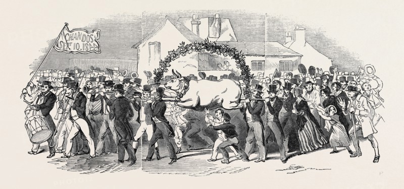 PROCESSION OF THE OX, AT BUCKINGHAM