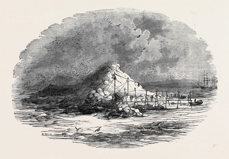THE ISLAND OF ICHABOE