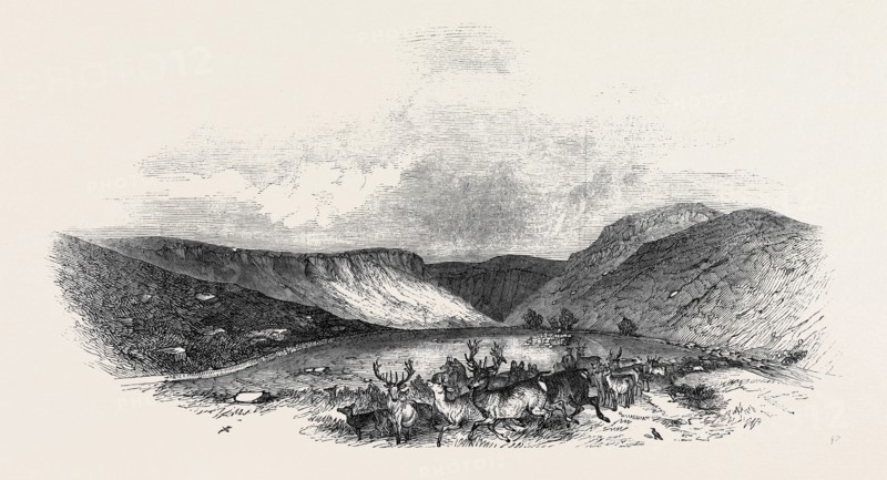 GLEN TILT