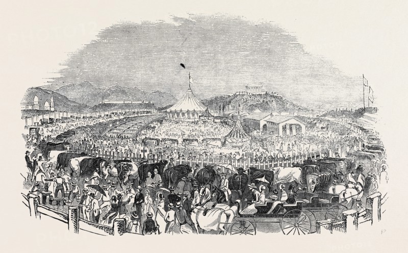 THE GREAT POUGHKEEPSIE CATTLE SHOW