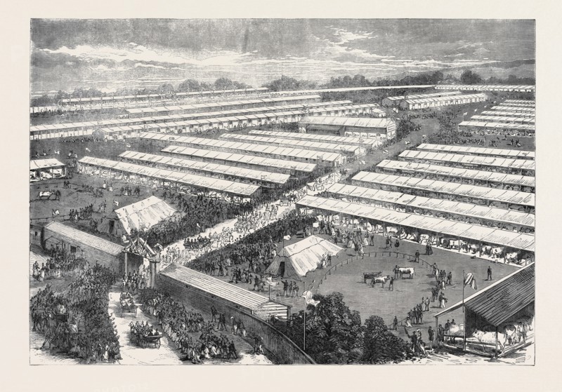 THE ROYAL VISIT TO THE IRISH AGRICULTURAL SOCIETY'S SHOW AT DUBLIN, 1871