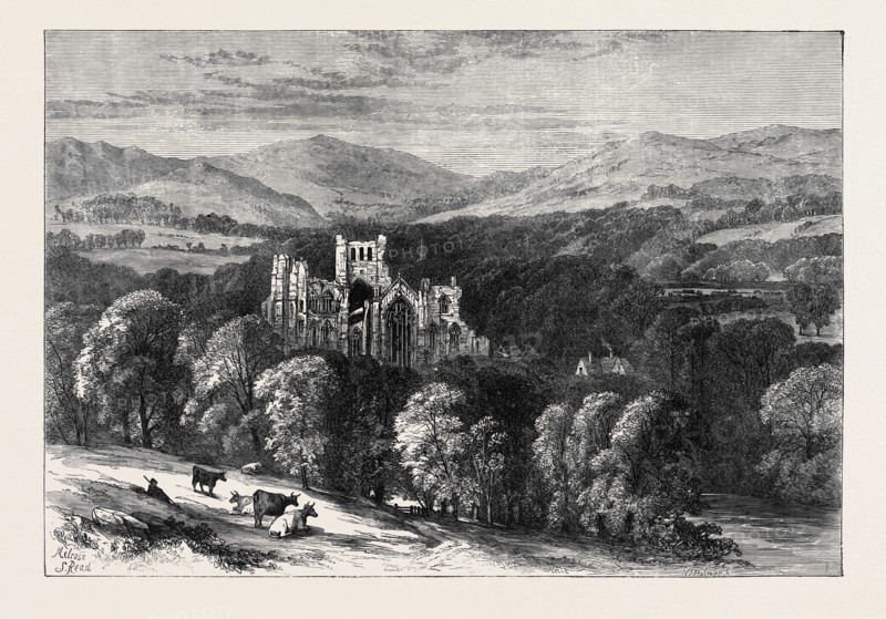 MELROSE ABBEY, 1871