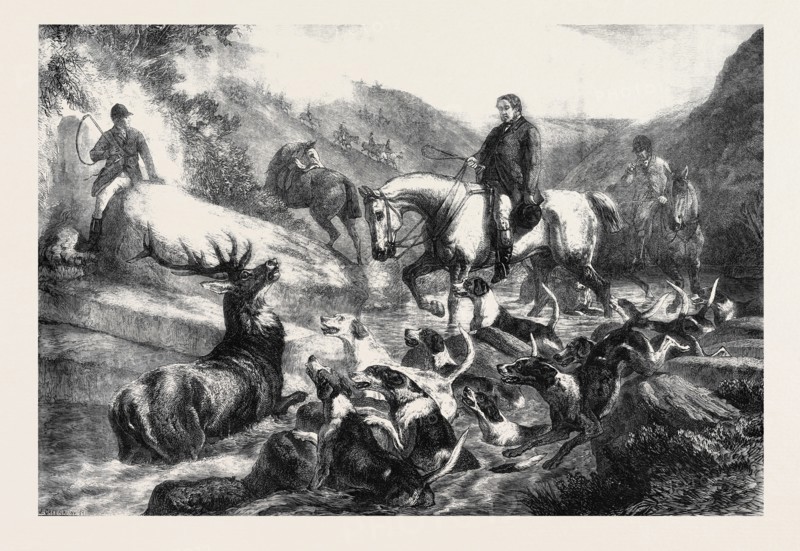 "A STAG AT BAY ON EXMOOR FOREST," BY S. CARTER, 1871