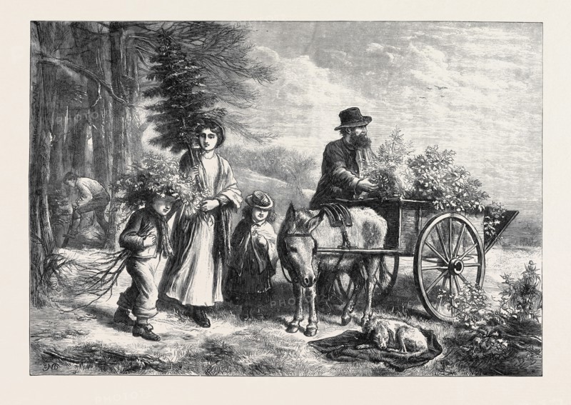 FOR THE SQUIRE'S HALL, DRAWN BY E.N. DOWNARD, 1871