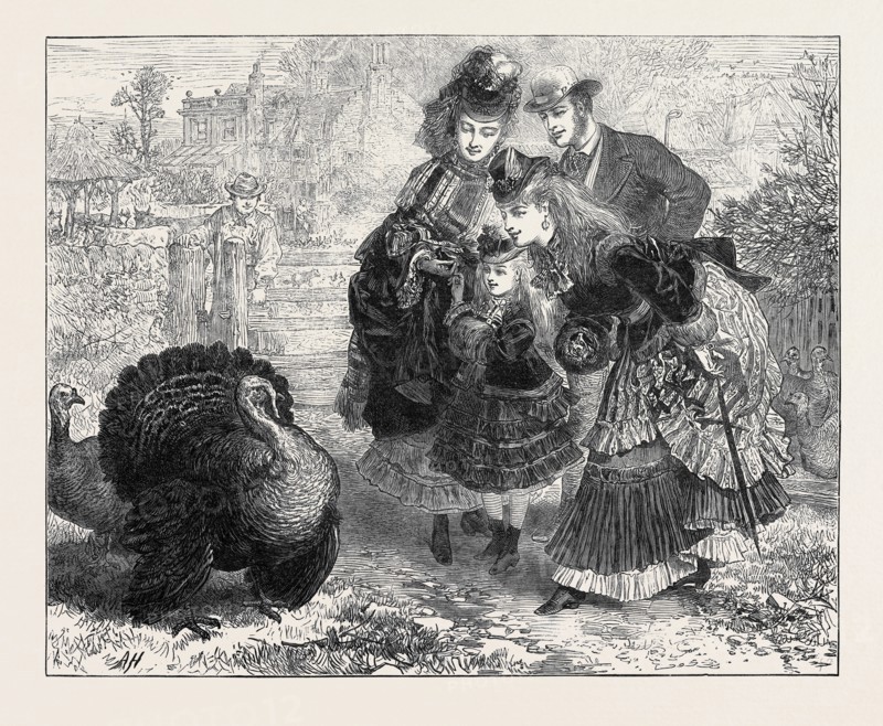 THE COMPLIMENTS OF THE SEASON, 1871