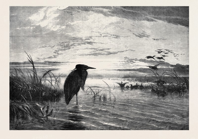 THE MONTHS: A SOLITARY CHRISTMAS EVE