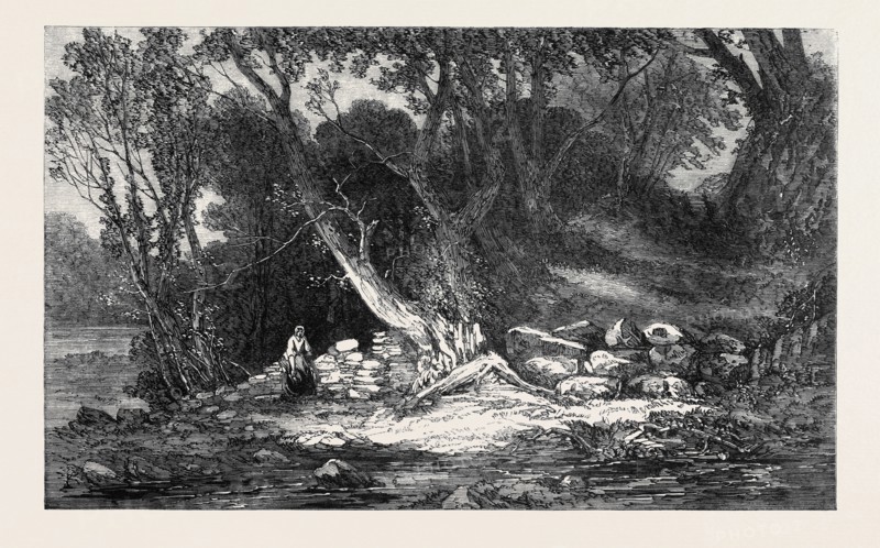 "THE WOODLAND GLADE," BY G. CHESTER, FROM THE ROYAL ACADEMY EXHIBITION