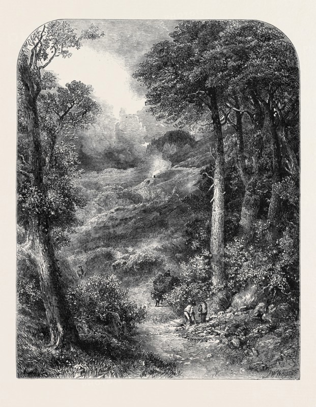 "THE PATH TO BLACKDOWN AND THE SURREY HIGHLANDS," BY J.W. WHYMPER, FROM THE EXHIBITION OF THE NEW SOCIETY OF PAINTERS IN WATER COLOURS
