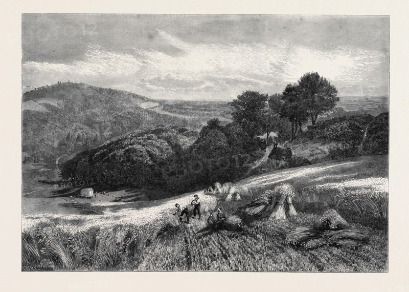 "A SURREY CORNFIELD," FROM THE EXHIBITION OF THE SOCIETY OF BRITISH ARTISTS