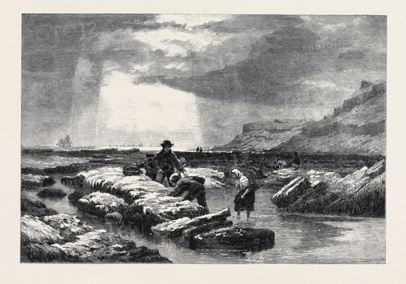 "CRAB CATCHERS," BY E. DUNCAN, FROM THE EXHIBITION OF THE WATER COLOUR SOCIETY