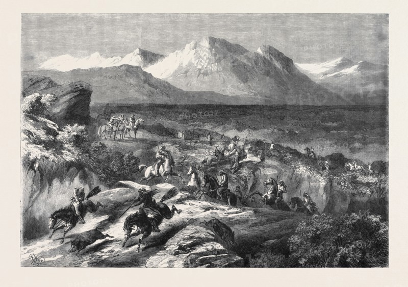 A RECENT WILD BOAR HUNT IN ALGERIA