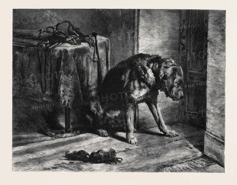 "SUSPENSE," BY SIR E. LANDSEER, R.A., IN THE SOUTH KENSINGTON MUSEUM