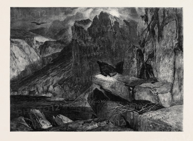 "THE EAGLE'S NEST," BY SIR E. LANDSEER IN THE SOUTH KENSINGTON MUSEUM