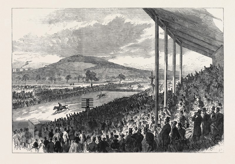 THE ROYAL ARTILLERY STEEPLECHASE AT WOOLWICH, 1868