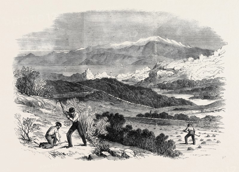 GARIBALDI DIGGING ROOTS IN HIS FAVOURITE GARDEN, CAPRERA