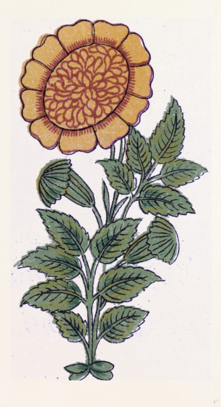 Persian ornament