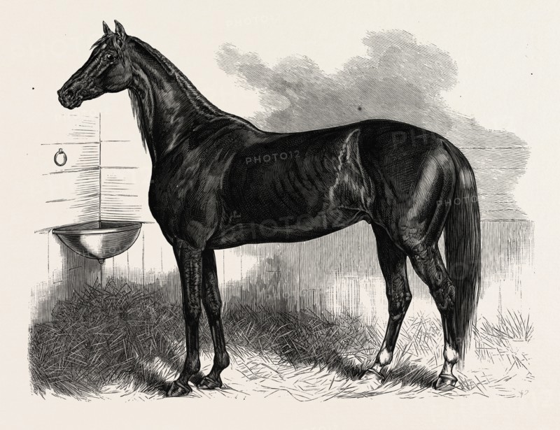 CONNECTICUT: ST. JULIEN, WHO BEAT HIS OWN AND THE BEST ONE-MILE RECORD, AT THE CHARTER OAK COURSE, HARTFORD