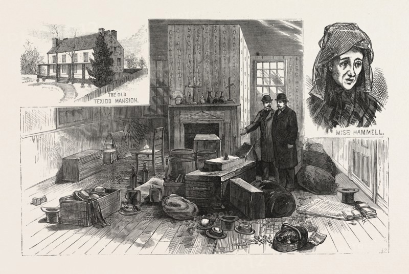 NEW YORK: THE SINGULAR STORY OF MARY HAMMELL AND HER ALLEGED PERSECUTOR: MRS. ALLEN'S REMARKABLE COLLECTIONS IN THE TEXIDO MANSION, FLUSHING