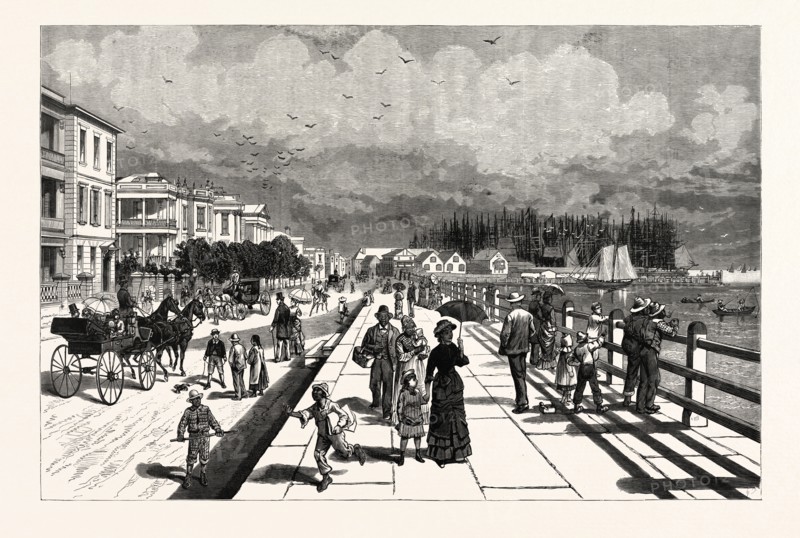 SOUTH CAROLINA: THE SOUTH IN 1880, EAST BATTERY, THE PROMENADE ON THE SOUTHERN END OF EAST BAY STREET. CHARLESTON