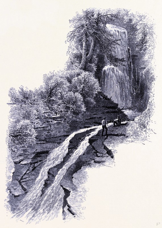 Silver waterfall, Sage's Ravine, United States of America
