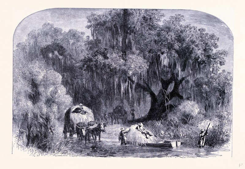 Rural life, United States of America
