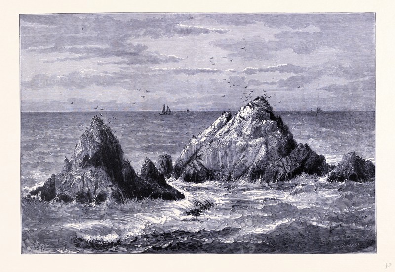Seal Rocks, United States of America