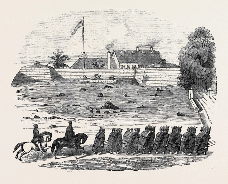 THE LATE DISASTER AT MALLAGHEA, RETURN OF PART OF THE 3RD WEST INDIA REGIMENT TO FREETOWN